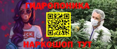 стаф Малгобек