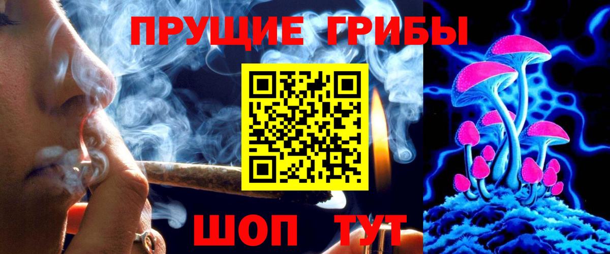 Псилоцибиновые грибы Magic Shrooms  Вход с VPN  Курган 